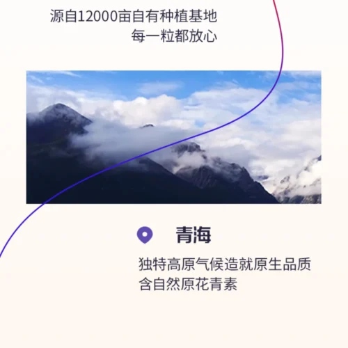 Morning Red Night Black 30 Sachets